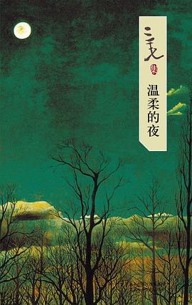 温柔的夜封面图片