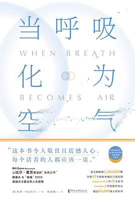当呼吸化为空气封面图片