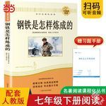 钢铁是怎样炼成的封面图片