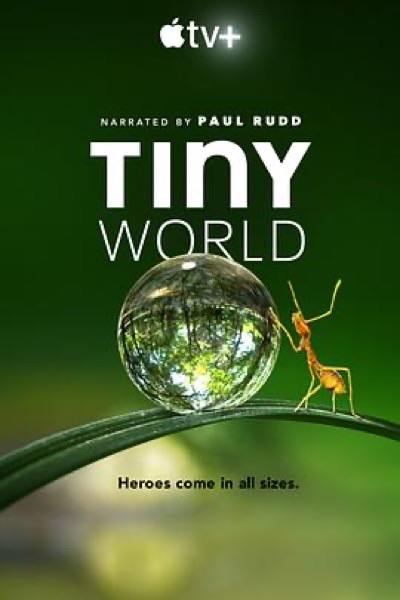 小小世界 第一季 Tiny World 海报