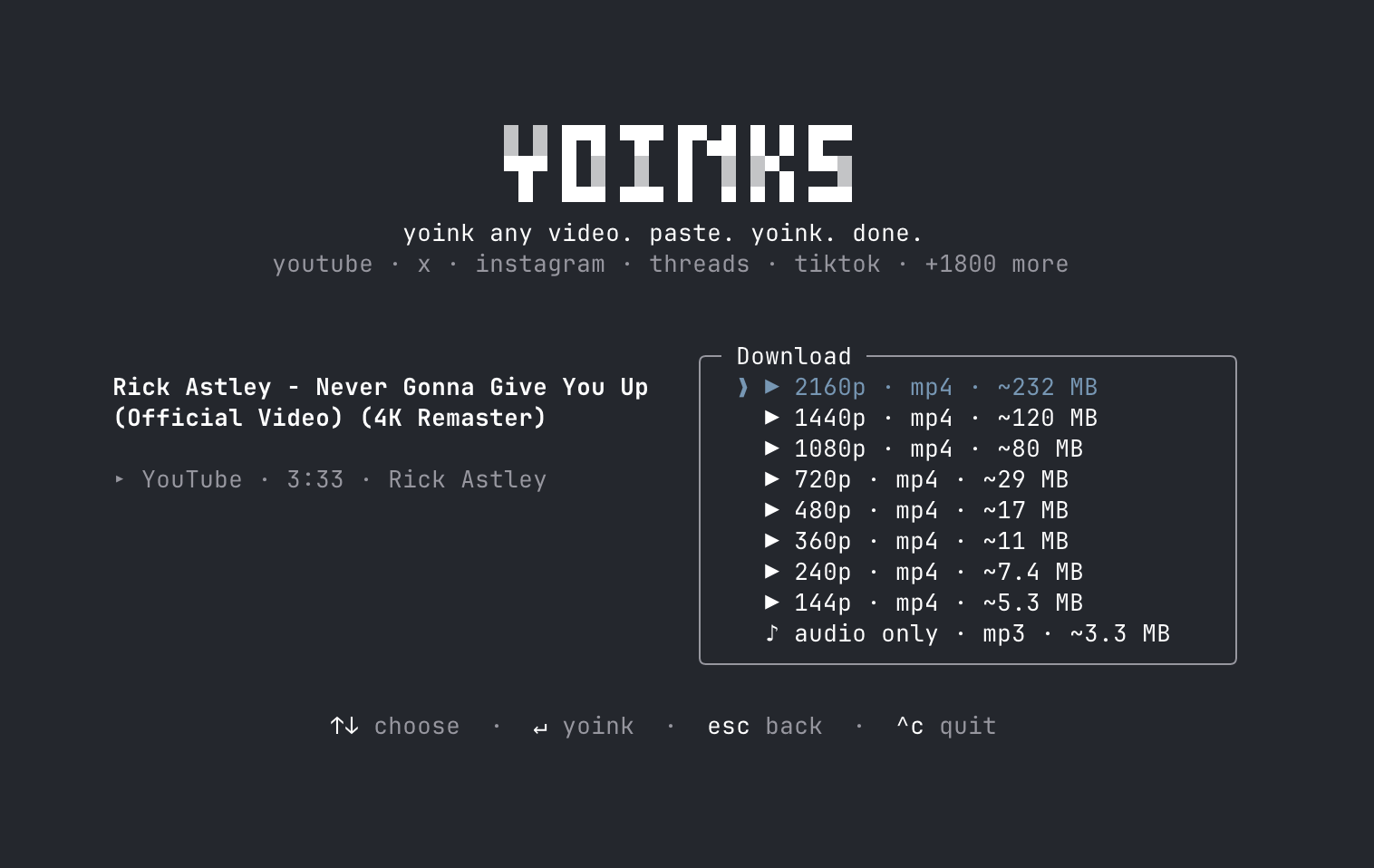 yoinks 格式选择界面——1080p/720p/480p/360p + audio only mp3 yoinks 下载格式选择界面:分辨率 + 估算大小 + 音频 only