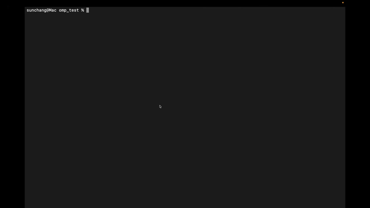 OMP 启动后的 TUI 界面