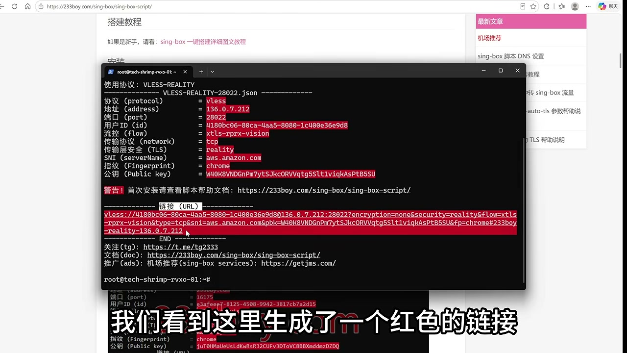 A one-click script produces a VLESS link when it finishes — save it